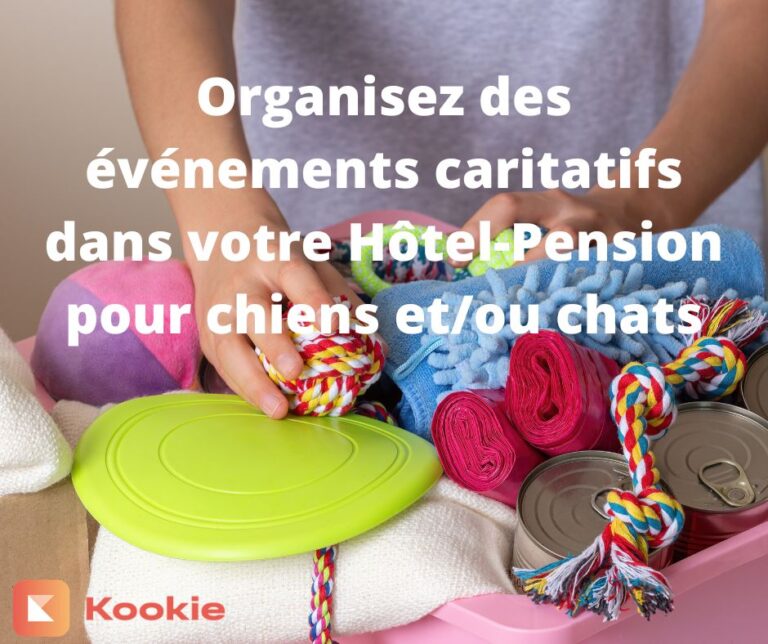 Organisez des événements caritatifs dans votre Hôtel Pension pour