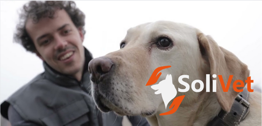 Kookie & Solivet : Pour le Bien-Être Animal et Humain